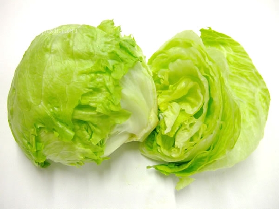 Lettuce salad