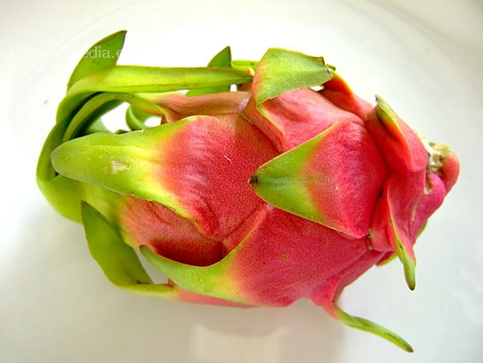 Pitahaya / Dragon fruit