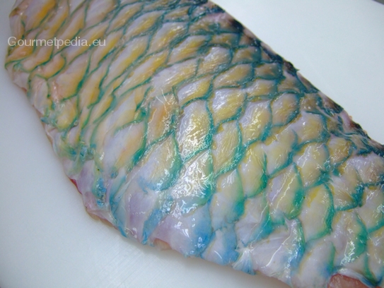 Parrotfish