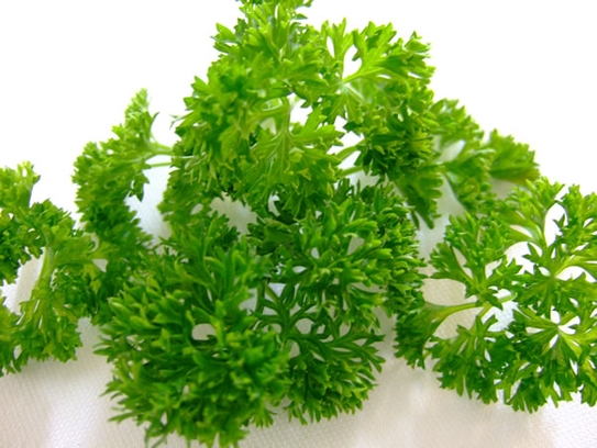 Parsley