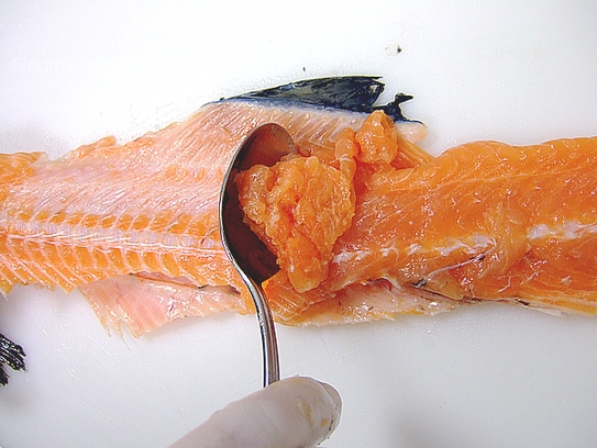 An der Mittelgräte vom Lachs mit einem Löffel Fischreste abschaben, die für Farcen verwendet werden können