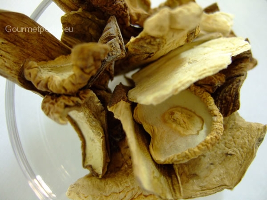 Dried yello boletus mushrooms