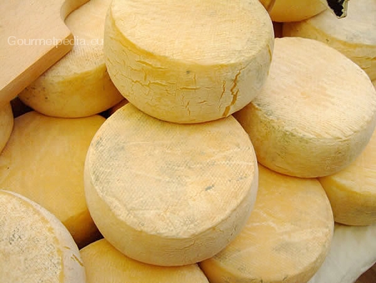 Caciottina cheese