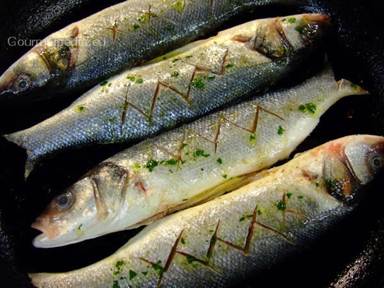 Auf dem Grill oder in einer beschichteten Pfanne die Fische in etwas Olivenöl heiß anbraten