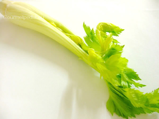 Celery