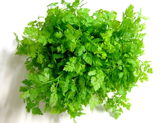 Chervil