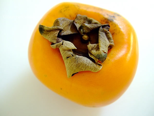 Persimmon