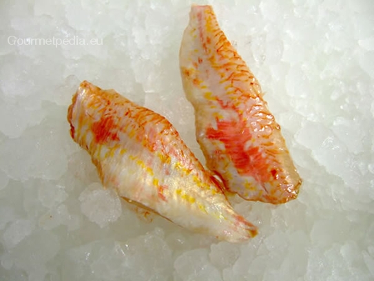 Red mullet