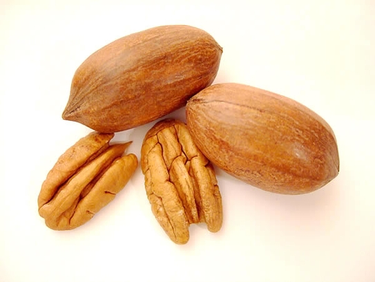 Pecan nut