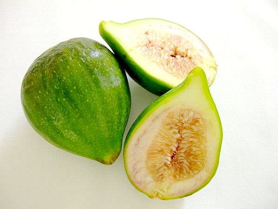 Fig