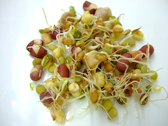 Sprouts