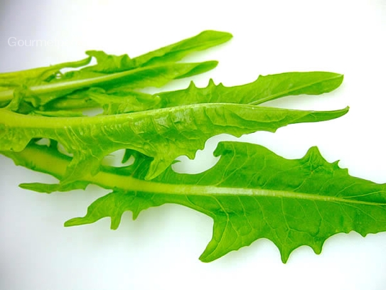 Dandelion salad