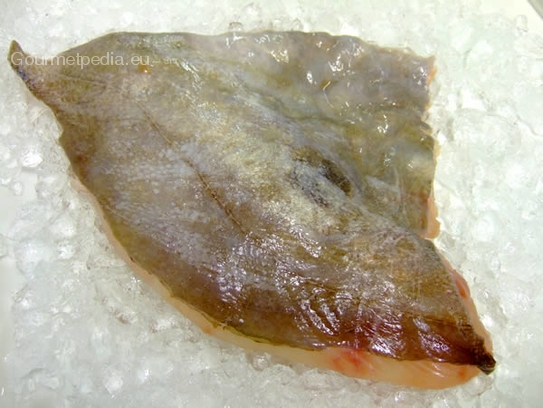 John Dory