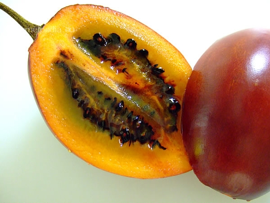 Tamarillo