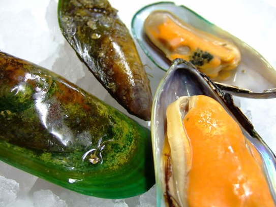 Greenlip mussels