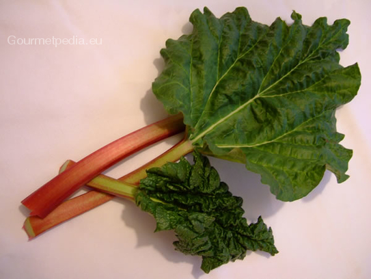 Rhubarb