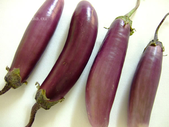 Mini eggplant