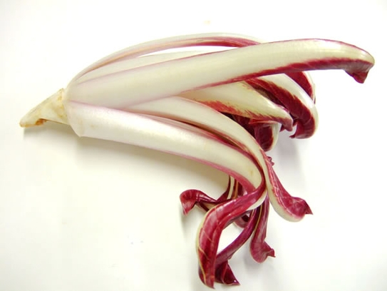 Radicchio