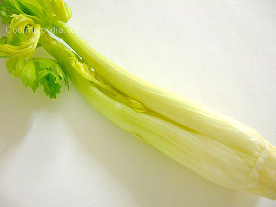 Celery