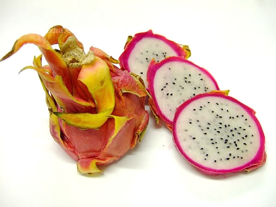 Pitahaya / Dragon fruit